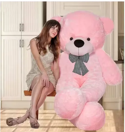 Ruby_Trader 2 Feet Pink Cute And Soft Teddy For Girls, Teddy Day, Soft Toys For Kids, Wife, Husband, Boyfriend-Girlfriend, Birthday Gift